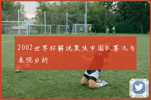 2002世界杯解说聚焦中国队赛况与表现分析