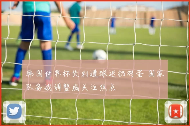 韩国世界杯失利遭球迷扔鸡蛋 国家队备战调整成关注焦点